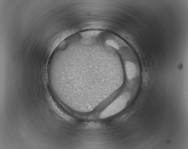 X0000116490890201001061139