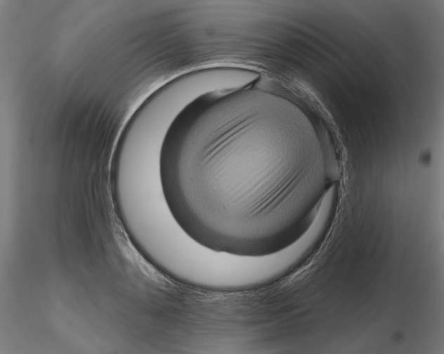 X0000116490892201001061139