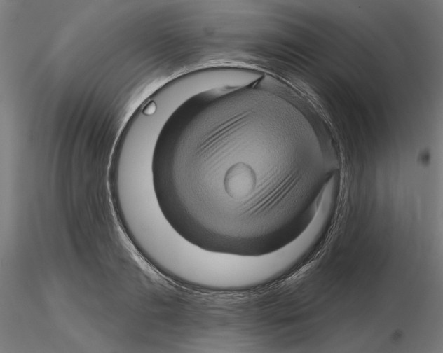 X0000116490893201001061139