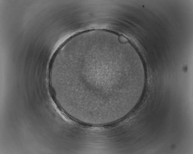 X0000116490894201001061139