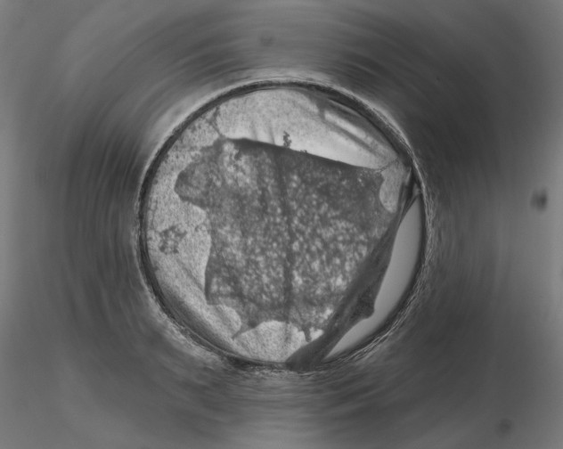 X0000116490895201001061139