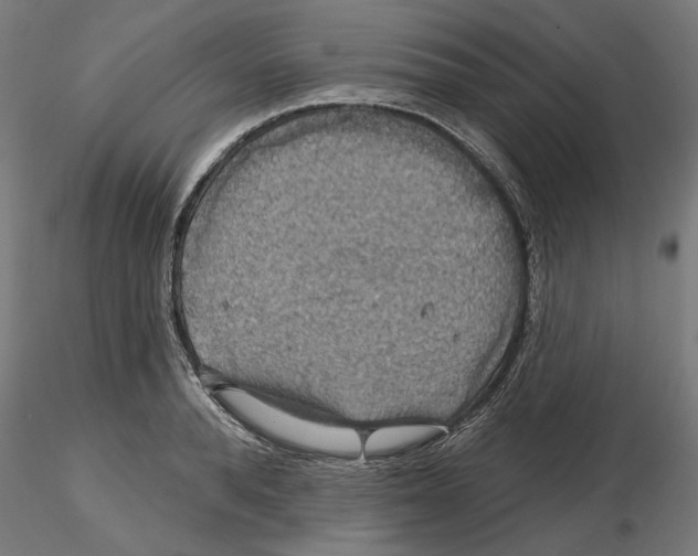 X0000116490896201001061139