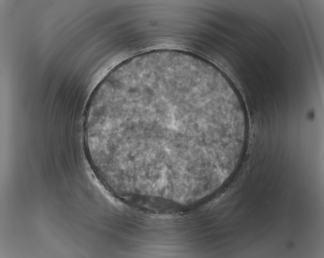 X0000116490898201001061139