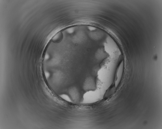 X0000116490899201001061139