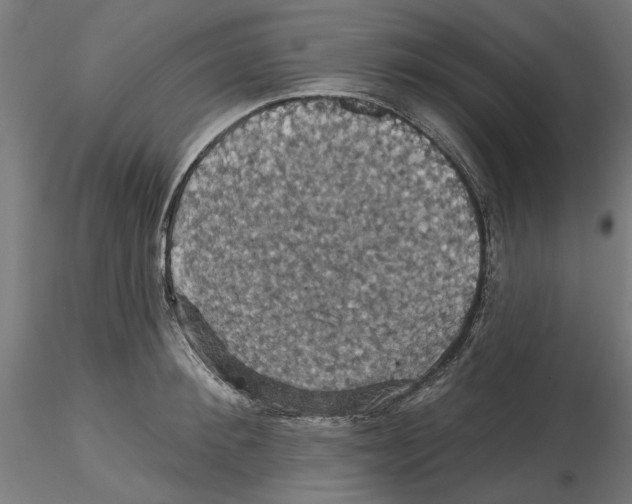 X0000116490900201001061139