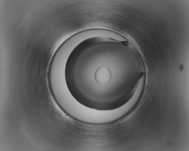 X0000116490901201001061139