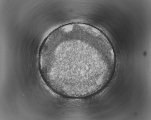 X0000116490902201001061139