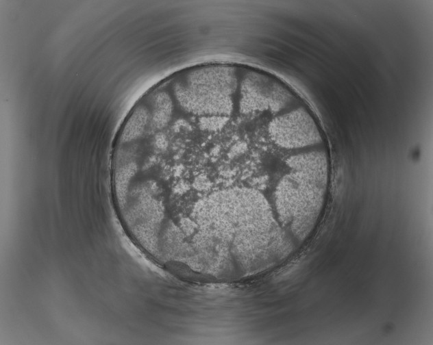 X0000116490903201001061139