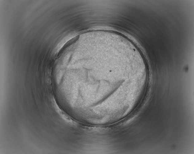 X0000116490905201001061138