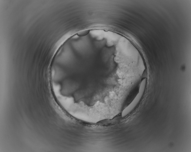 X0000116490907201001061138