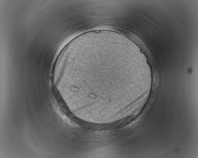 X0000116490908201001061138