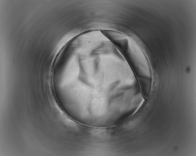 X0000116490909201001061138