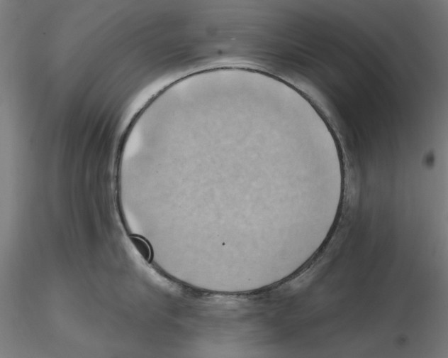 X0000116490910201001061138