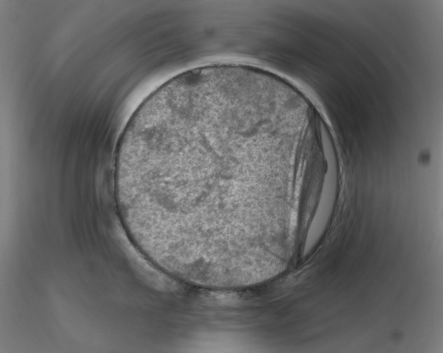 X0000116490911201001061138