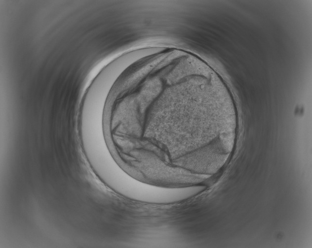 X0000116490912201001061138