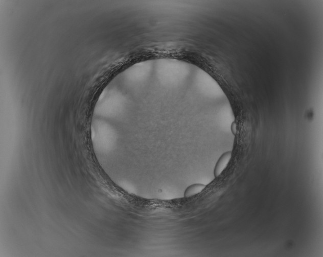 X0000116490913201001061138