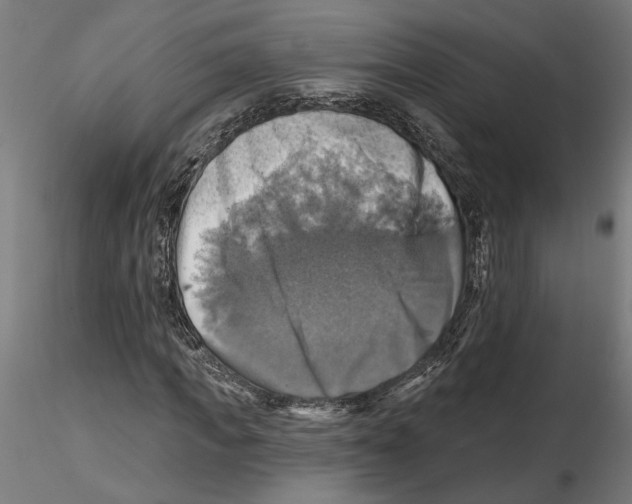 X0000116490917201001061138