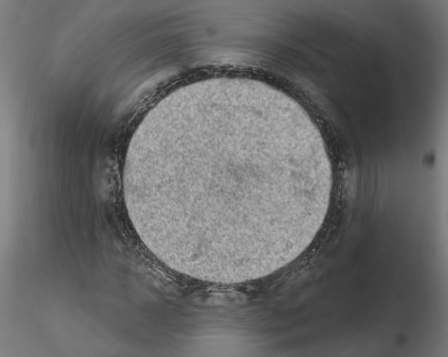 X0000116490918201001061138