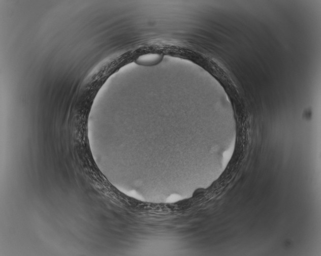 X0000116490919201001061138