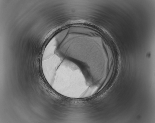 X0000116490921201001061138