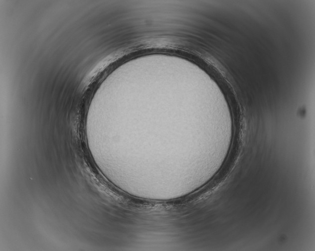 X0000116490922201001061138