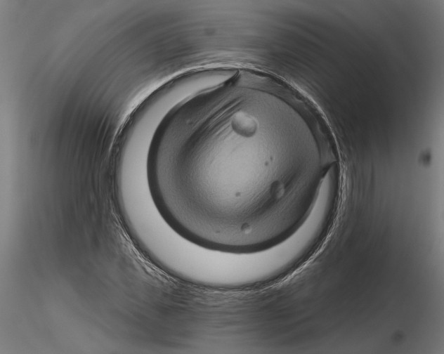 X0000116490925201001061138