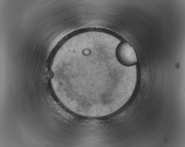 X0000116490926201001061138