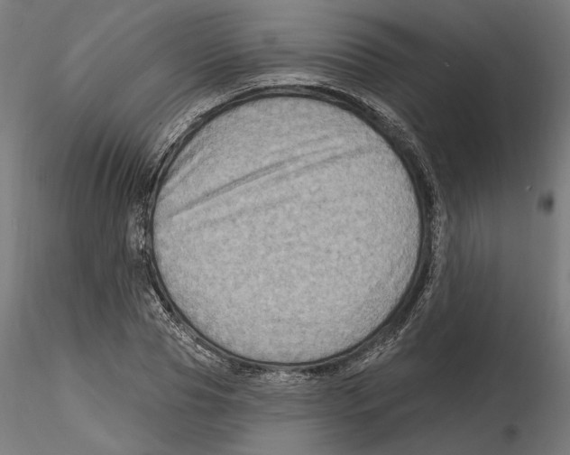 X0000116490929201001061138