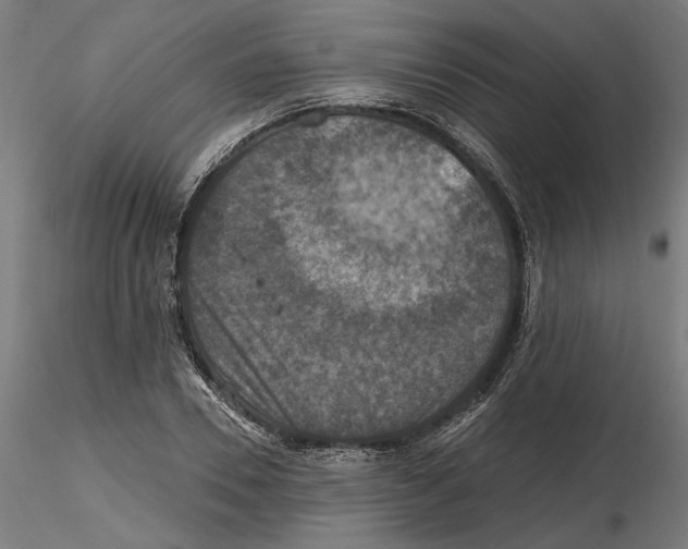 X0000116490930201001061138