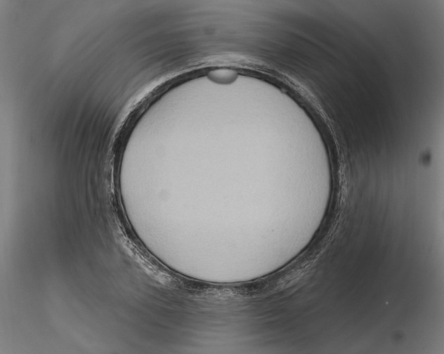 X0000116490931201001061138