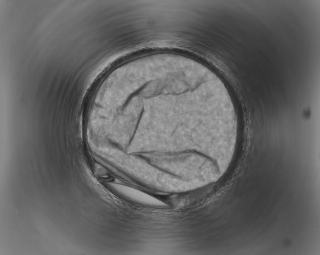 X0000116490934201001061138