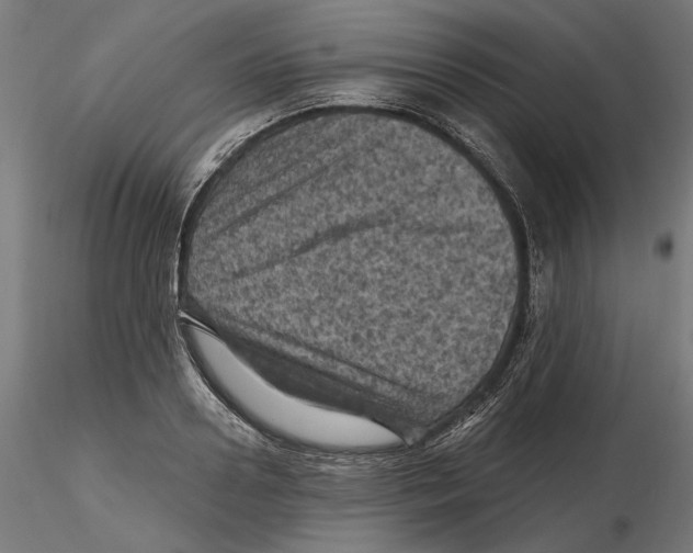 X0000116490938201001061138