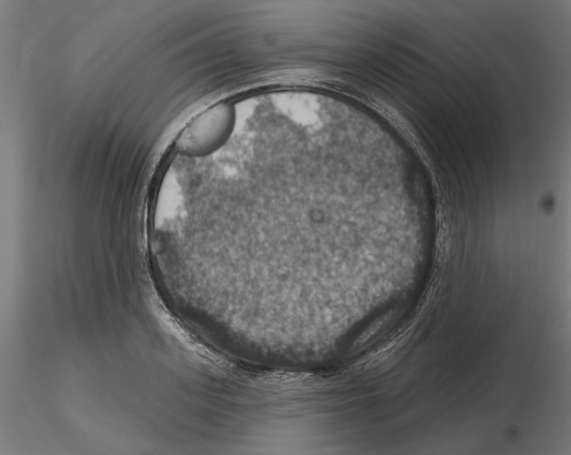 X0000116490939201001061138