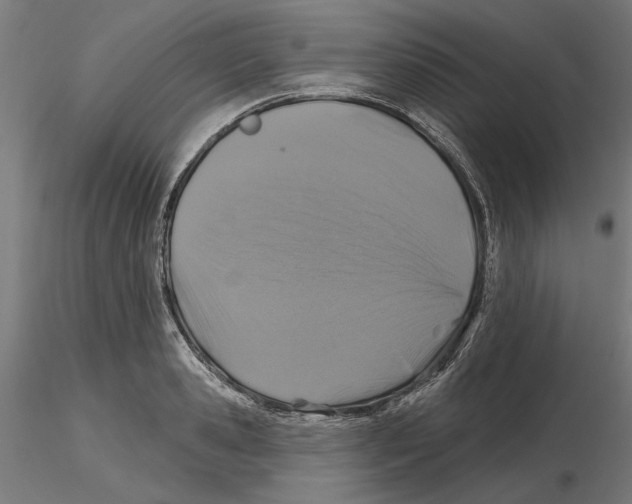 X0000116490941201001061138