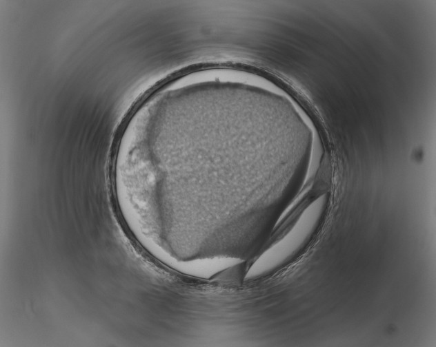 X0000116490943201001061138