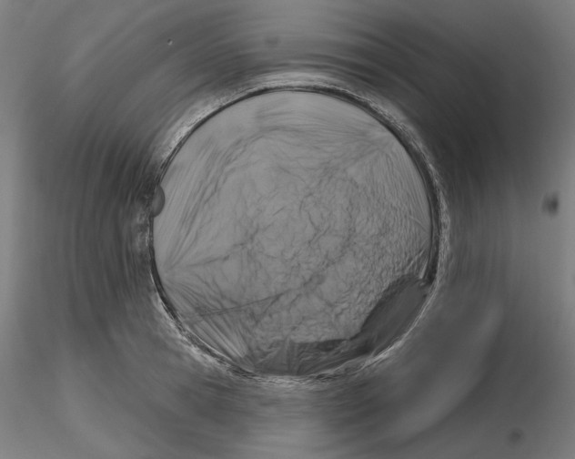 X0000116490945201001061138