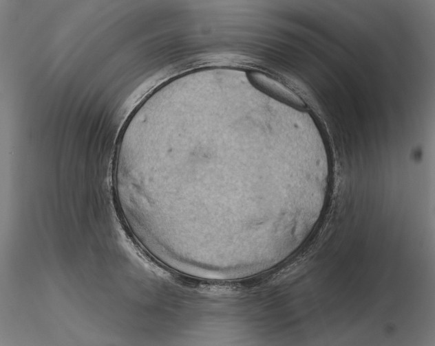 X0000116490946201001061138