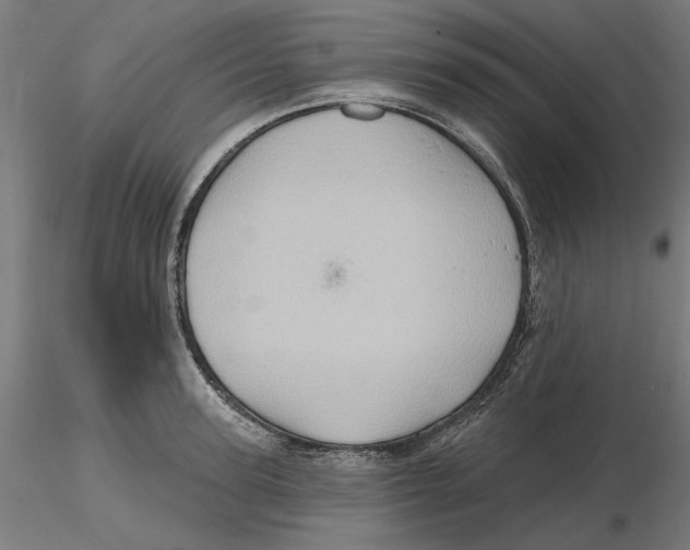 X0000116490947201001061138