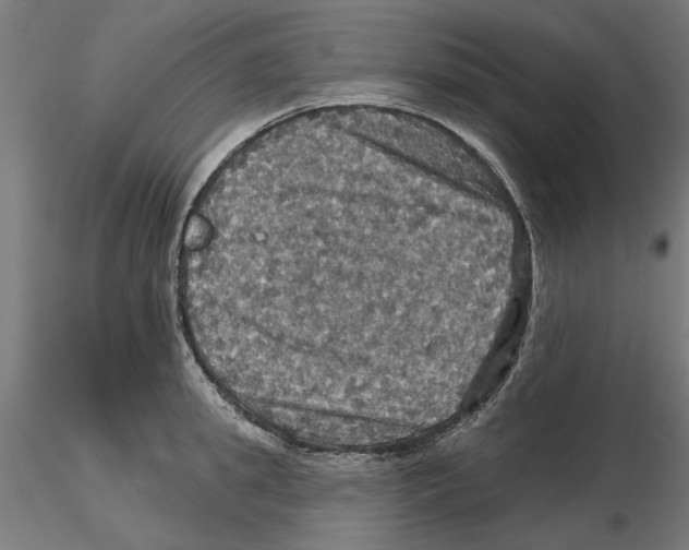 X0000116490949201001061138