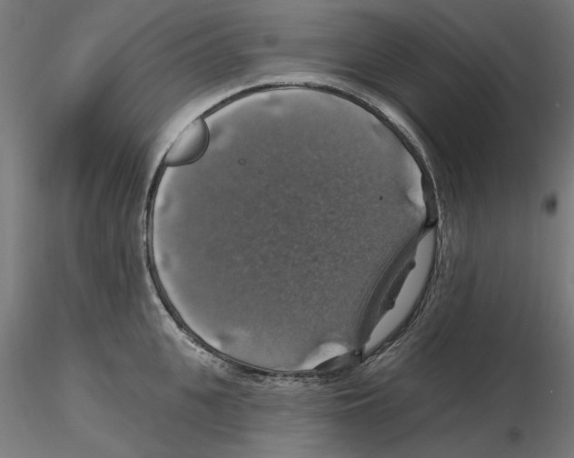 X0000116490951201001061138