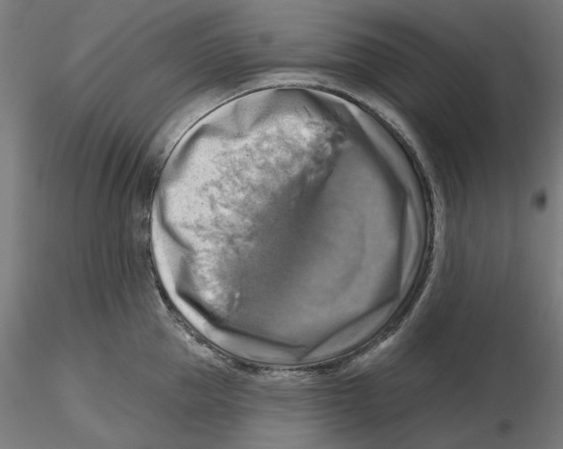 X0000116490953201001061138