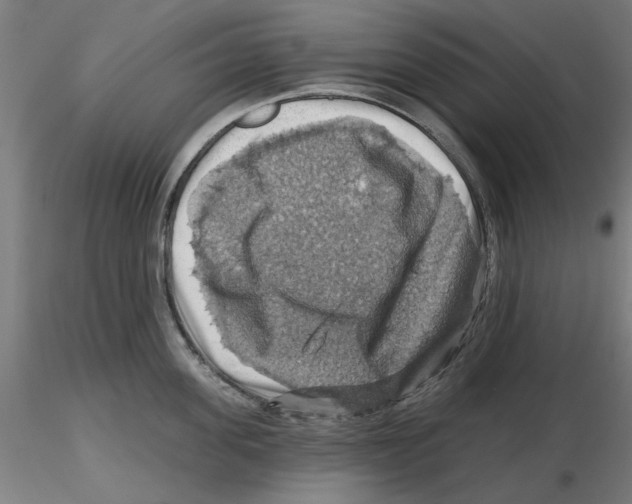 X0000116490955201001061138