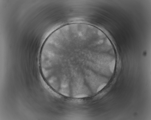 X0000116490957201001061138