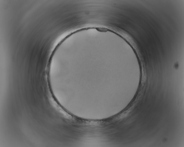 X0000116490958201001061138