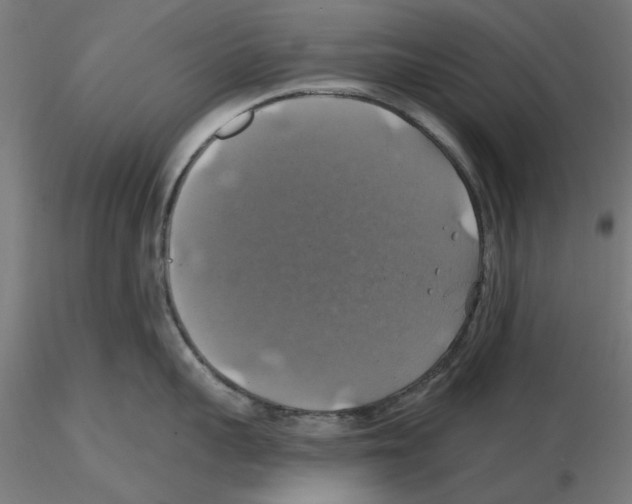 X0000116490959201001061138