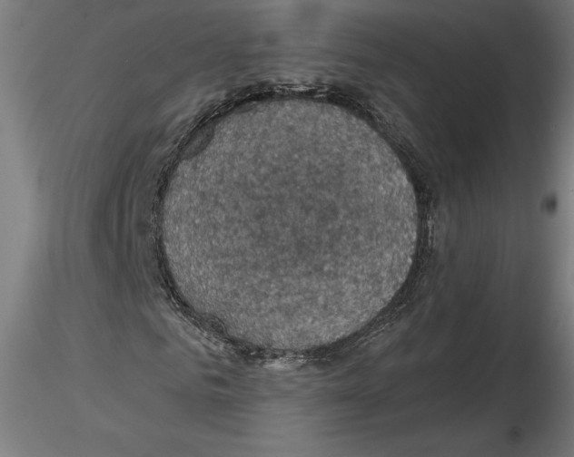 X0000116490961201001061138