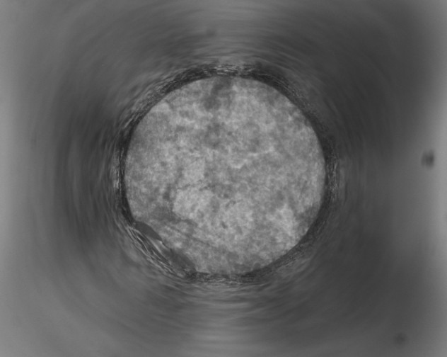 X0000116490962201001061138