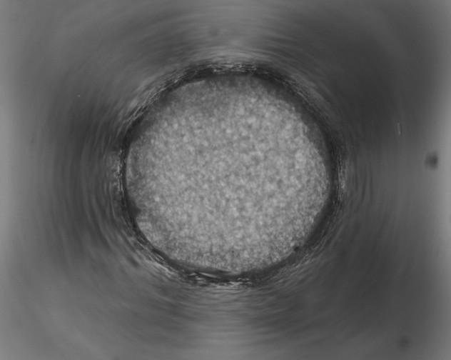 X0000116490964201001061138