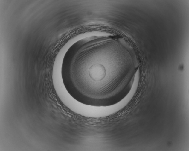 X0000116490965201001061138