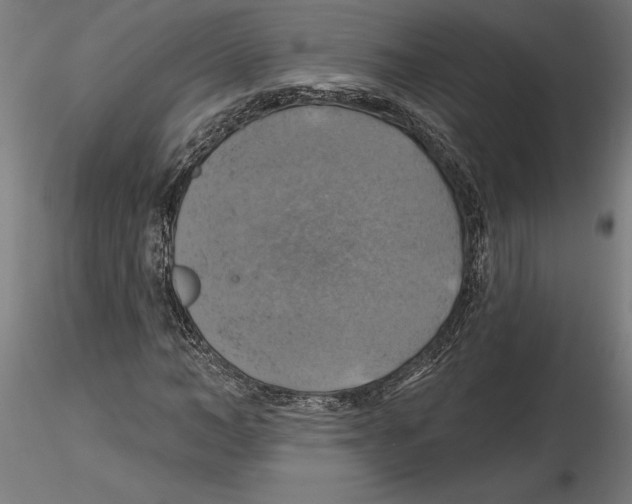 X0000116490966201001061138